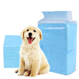 Dog Training Pee Pads Super Absorbent Pet Diaper Disposable Healthy Nappy