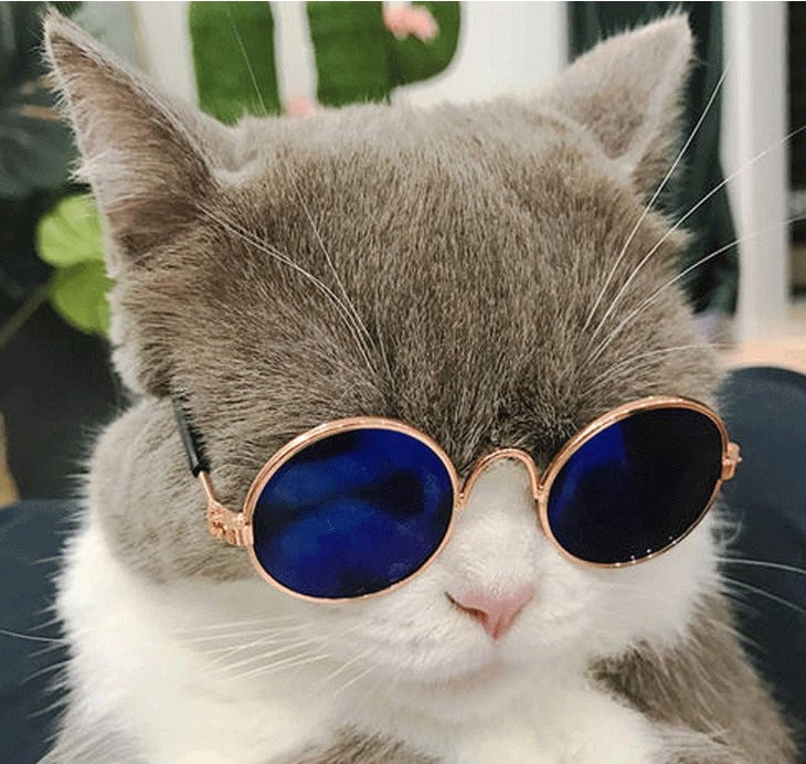 Pet Small Dog Cat Lovely Vintage Round Sunglasses Reflection Eye wear glasses