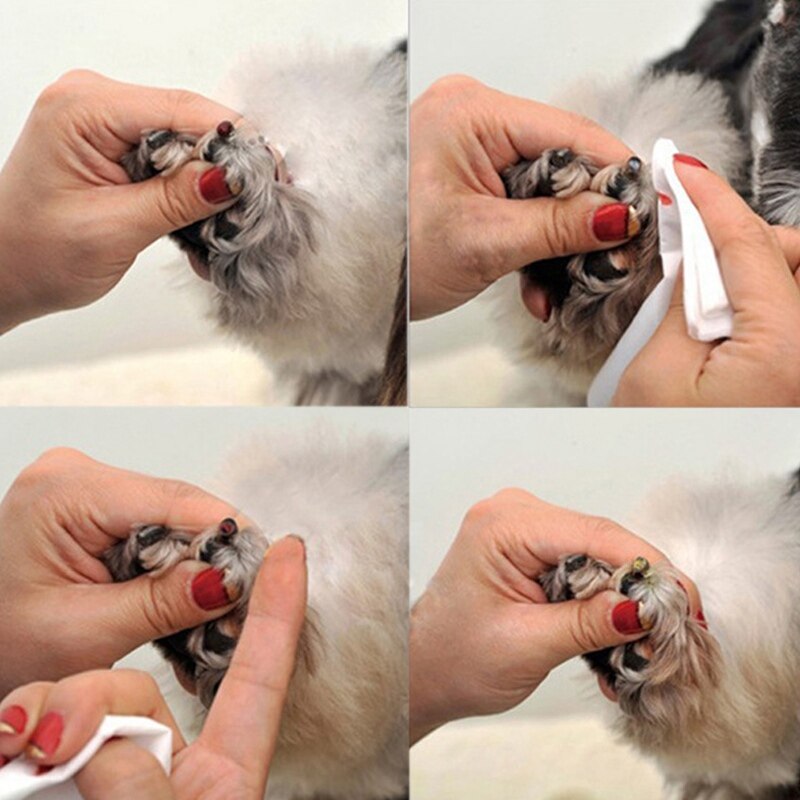 Pet Styptic Stop Bleeding Powder Dog Cat Bird Antibacterial Traumatic Hemostatic