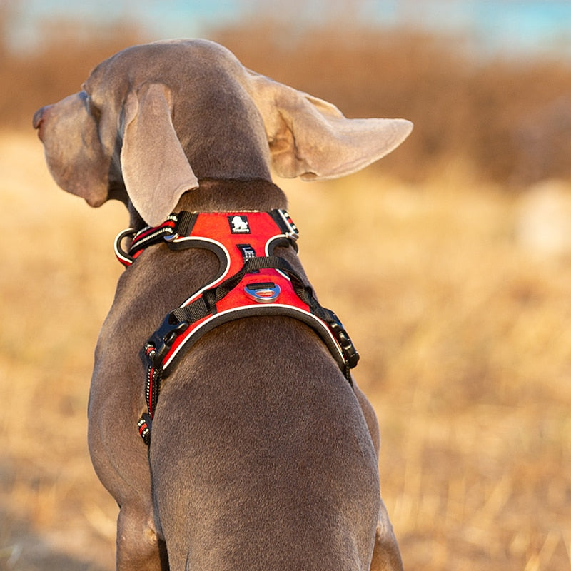 Adjustable Medium Large Naughty Pet Dog Reflective Nylon Vest Harness