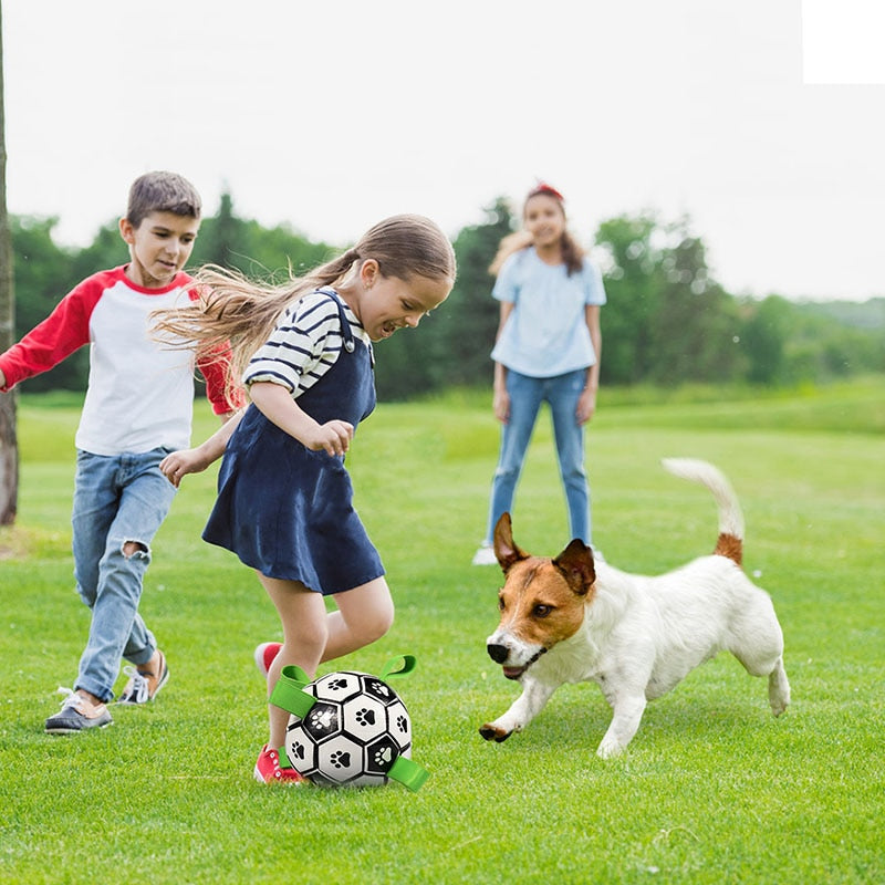 Dog Pet Interactive Football Toys Outdoor Training Soccer Bite Chew Balls
