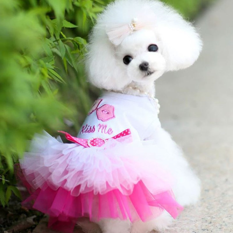 Princess Beads Sparkle Soft Female Dog Puppy Winter Autumn Dress