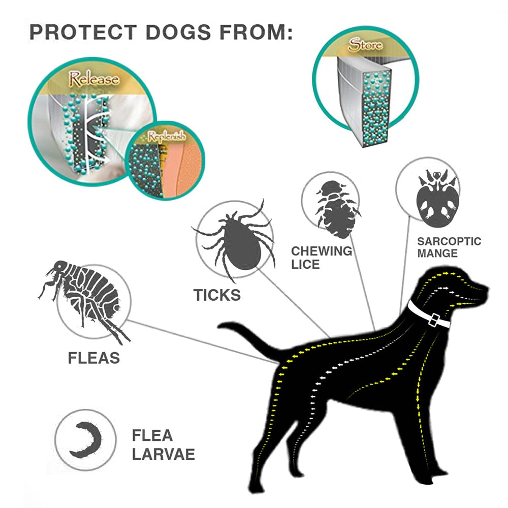 Pet Cat Dog Flea Tick Prevention Rubber Adjustable Collar