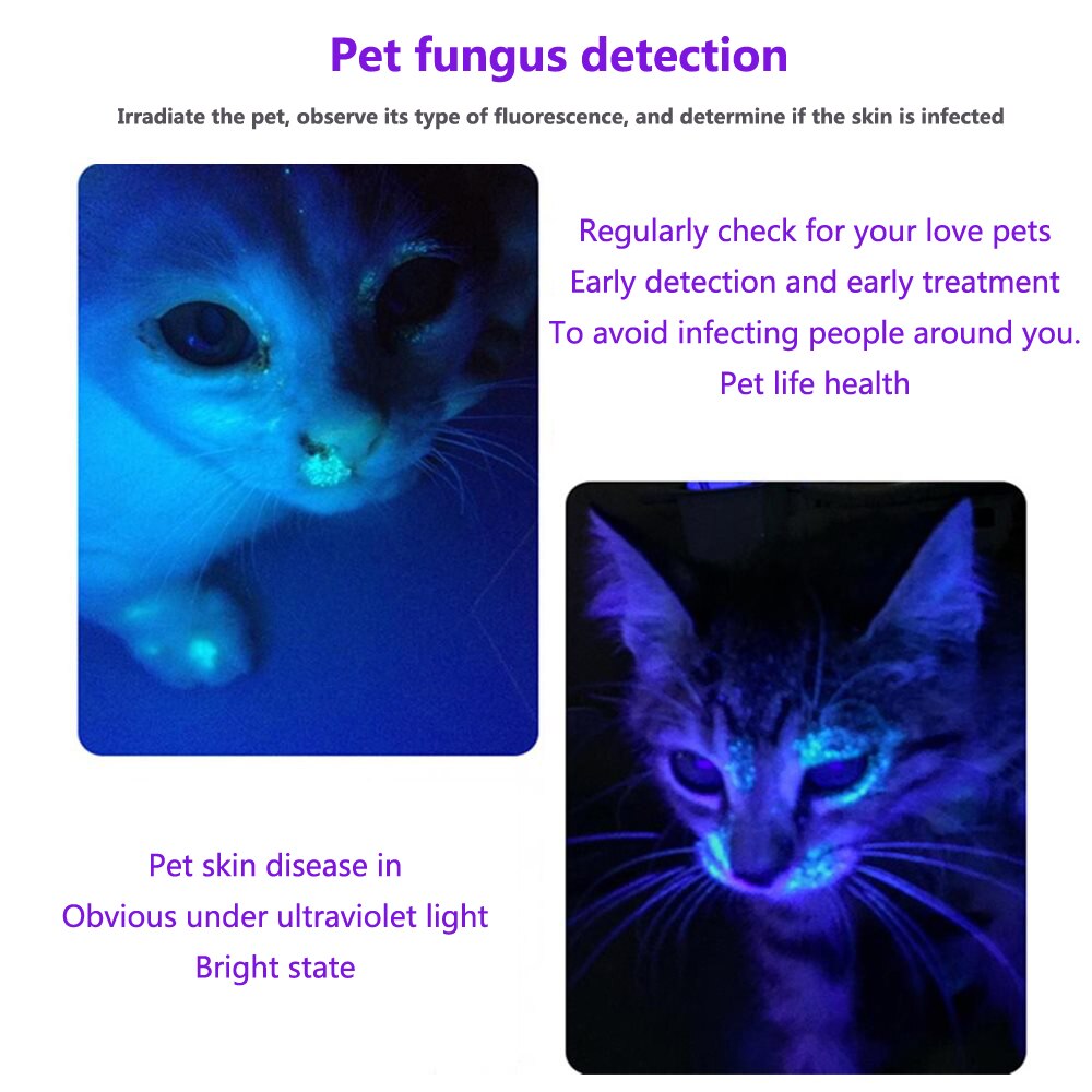 Ultra Violet Light 10W High Power Pet Cat Dog Urine Ringworm Stains Detector