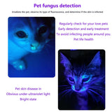 Ultra Violet Light 10W High Power Pet Cat Dog Urine Ringworm Stains Detector