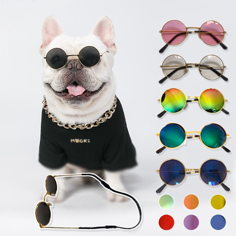 Dogs Cats Pet Sunglasses Harness Decorations Lenses