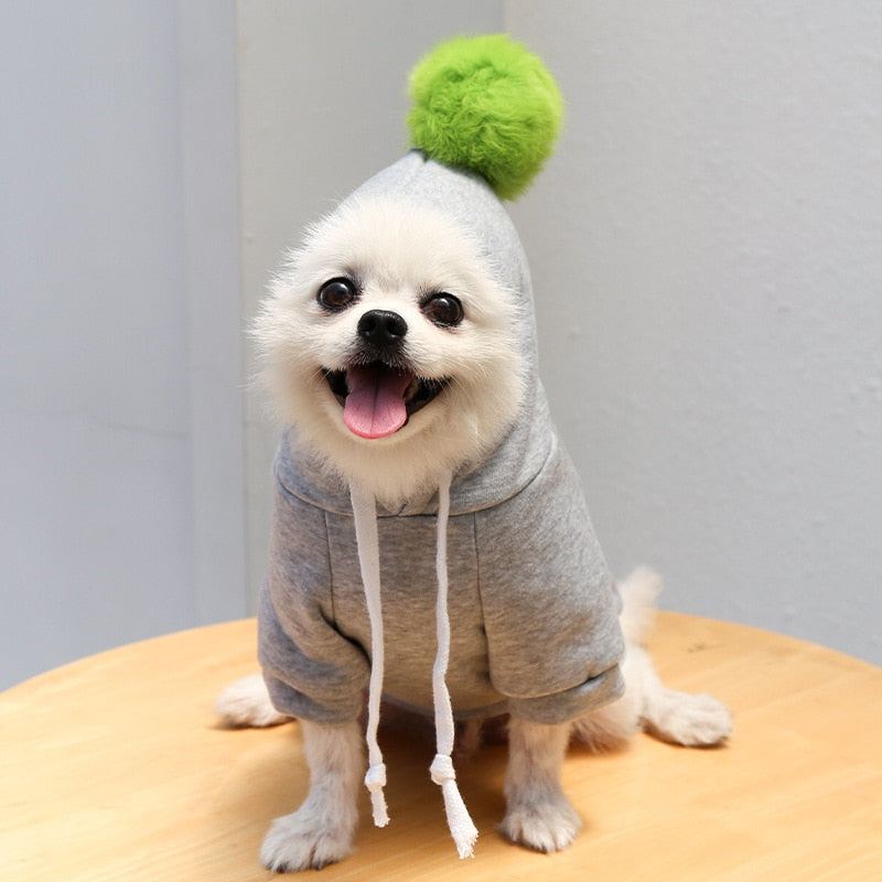 Fruit Small Pet Dogs Cats Clothes hoodies Warm Fleece Clothing Coat Jacket Suit