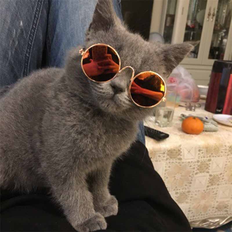 Pet Small Dog Cat Lovely Vintage Round Sunglasses Reflection Eye wear glasses