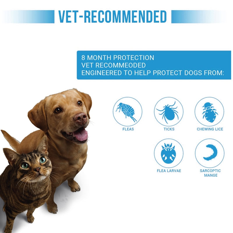 Pet Dog Cat Veterinary Anti Flea Tick Collar Antiparasitic Necklace