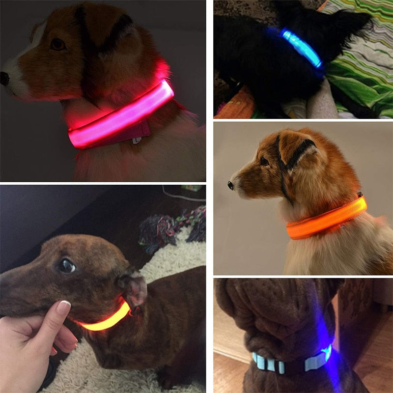 LED Glowing Dog Cat Pet Collar Rechargeable Adjustable Night Light Collar