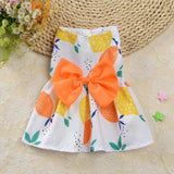 Pet Princess Dress Spring Summer Flower Butterfly Dress Fashion Broken Flower Lovely Pattern Lace Tulle Sleeveless Coat