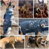 Small Medium Big Tactical Dog Vest Harness And Leash Set Pet Training Vest