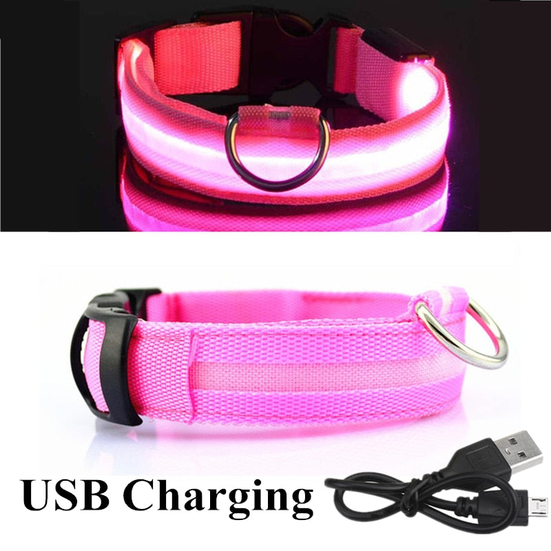 LED Glowing Dog Cat Pet Collar Rechargeable Adjustable Night Light Collar